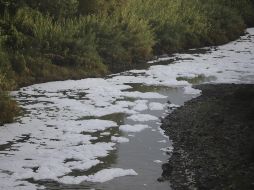 En los estudios de cada miembro, los metales resaltaban. Alejandro, familiar sobreviviente, echa culpa al agua contaminada. EL INFORMADOR / ARCHIVO