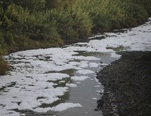 En los estudios de cada miembro, los metales resaltaban. Alejandro, familiar sobreviviente, echa culpa al agua contaminada. EL INFORMADOR / ARCHIVO