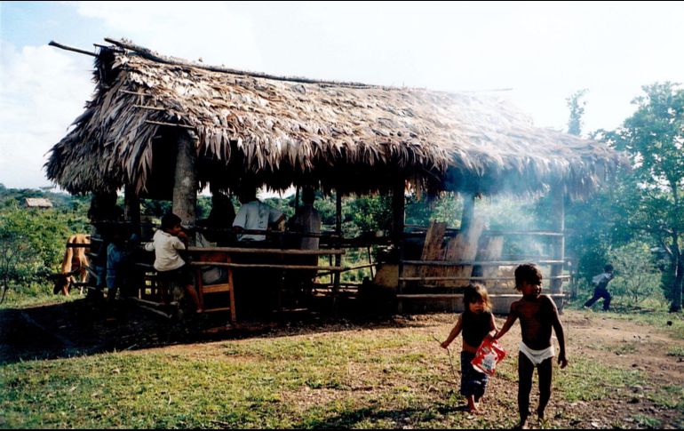 Un grupo armado de aproximadamente 80 personas intentó desalojar a los indígenas de sus tierras e incendió varias viviendas. TWITTER/@CIDH