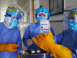 Hasta el momento se siguen comparando los casos para comprender mejor la fase preclínica de la infección y determinar cómo se produce la transmisión. AFP