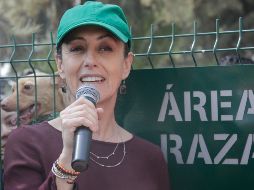 Sheinbaum exhortó a la población a estar atentos a los informes que emite todos los días la Secretaría de Salud federal. NTX / R. Solis