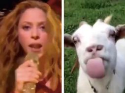 Los memes del show de Jlo y Shakira circulan en las redes sociales. TWITTER