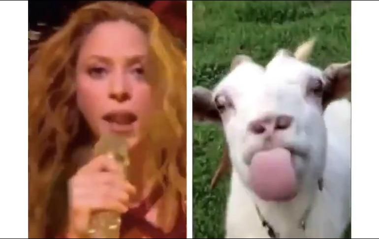 Los memes del show de Jlo y Shakira circulan en las redes sociales. TWITTER