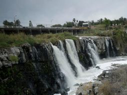 La Recomendación 1/2009 se emitió hace 11 años. EL INFORMADOR / ARCHIVO