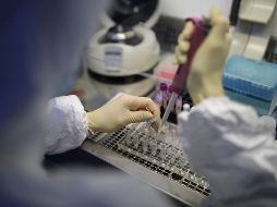 El coronavirus 2019-nCoV ha provocado al menos 426 muertos en China continental y más de 20 mil contagiados. AP