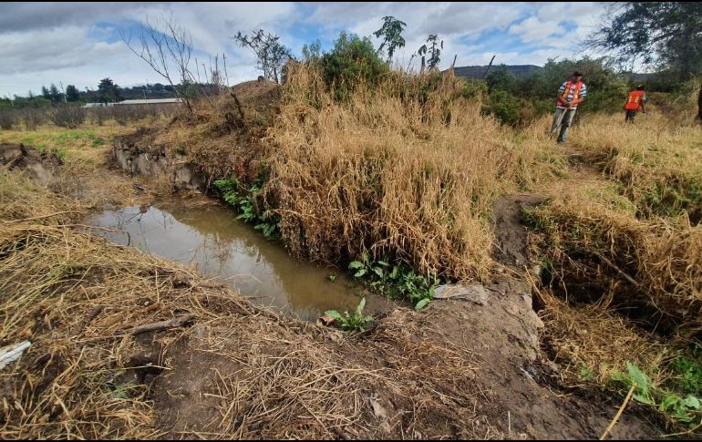 Los asistentes de la megaexcursión ya se encuentran en Ixtlahuacán. EL INFORMADOR / E. Barrera