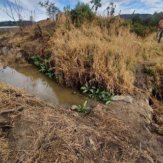Ordenan a Profepa Jalisco guardar silencio sobre río Santiago
