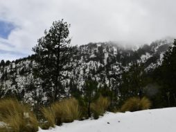 ESPECIAL / Protección Civil Jalisco