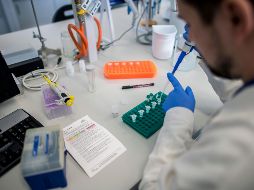 Estados Unidos afirma que tiene disposición para colaborar con China a través de su experiencia y recursos médicos. EFE/T. Soki