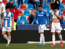 Los pepineros todavía están con serios problemas de descenso. EFE / K. Fösterling