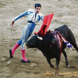 Novillada de alto nivel