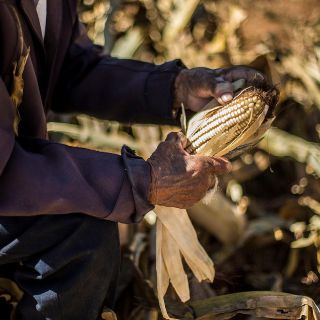 Brindan capacitación para hacer sustentable el sector agroalimentario