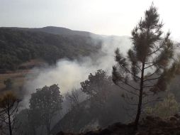 El primero de los incendios de este 2020 se registró el día 18 de enero, en el predio conocido como Arroyo de las Canoas. EL INFORMADOR / ARCHIVO