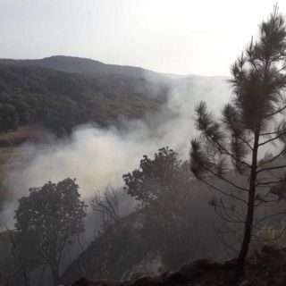Reportan incendio en el Bosque La Primavera; van al menos siete este año