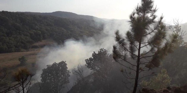 Reportan incendio en el Bosque La Primavera; van al menos siete este a&ntilde;o