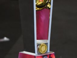 El gallardete. El trofeo de campeón que será entregado el próximo 1 de abril en el Estadio Akron. IMAGO7