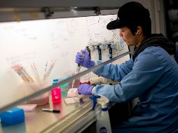 Será hasta mañana miércoles cuando la OMS ofrezca una rueda de prensa para informar sobre los resultados de estos dos días de reuniones. AFP / T. Akmen