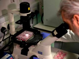 El doctor Paul McKay trabaja en el desarrollo de una vacuna contra el covid-19 en un laboratorio del  Imperial College School of Medicine en Londres. AFP/T. Akmen