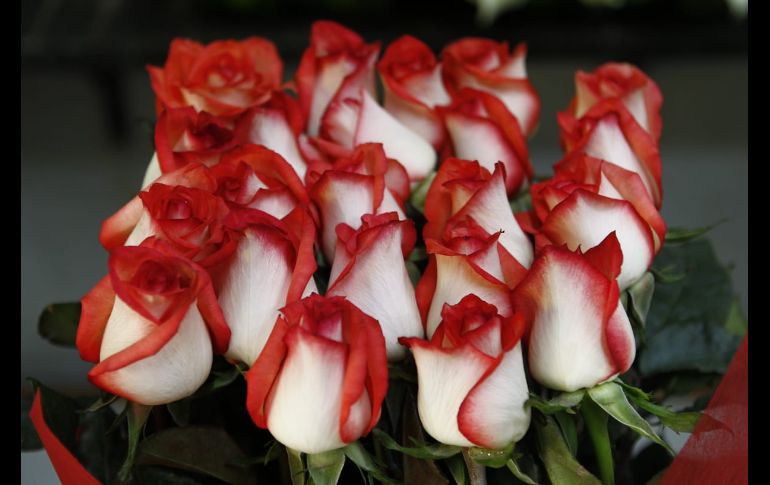 Día de San Valentín trae aumento en precios de rosas