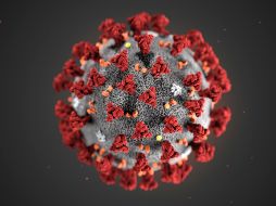 La vacuna contra la enfermedad se demorará al menos un año y medio, reporta la OMS. AP / ARCHIVO