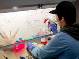 Los casos sospechosos tienen antecedente de haber viajado a China. AFP / T. Akmen