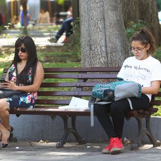 Cuatro de cada 10 mexicanos han usado una app para "ligar"