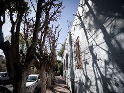 El vocero asegura que ellos no pueden ser los autores porque desde finales de diciembre no se encuentran en las instalaciones. EL INFORMADOR/F. Atilano