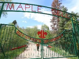 Boy Scouts of America se enfrenta a cientos de demandas por abuso sexual por parte de sus afiliados y a una reducción drástica del número de asociados. AFP/G. Frey