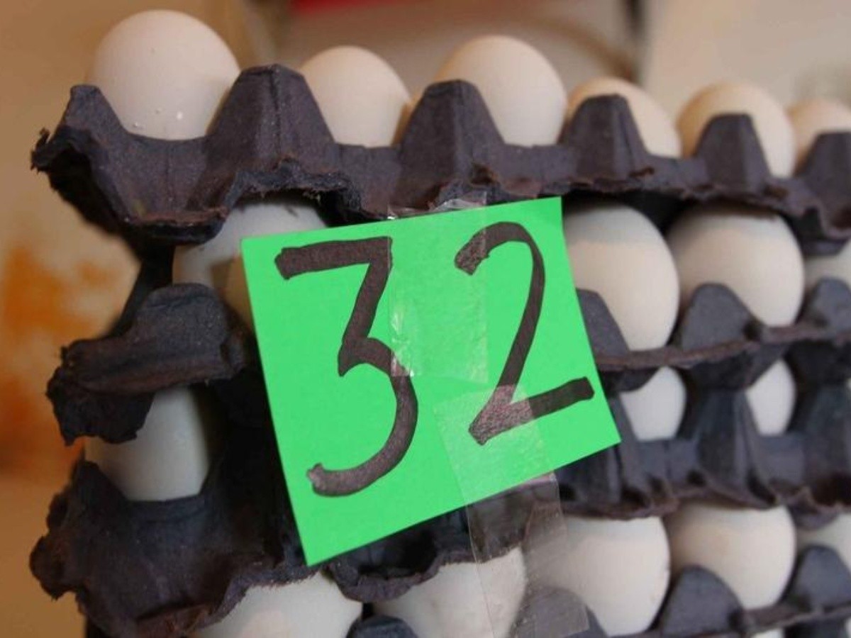  Aumenta precio del huevo en la ZMG 