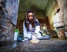 Un grupo de especialistas trabajan dentro de la 