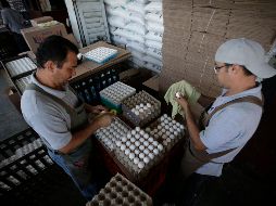 La temporada de frio y la baja de gallinas ponedoras provocaron el aumento en el precio. EL INFORMADOR/F. Atilano