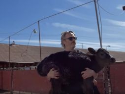 Joaquin Phoenix rescata a una vaca y su cría en matadero de Los Ángeles