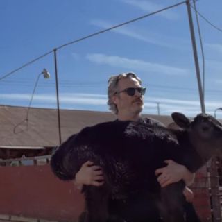 Joaquin Phoenix rescata a una vaca y su cría en matadero de Los Ángeles