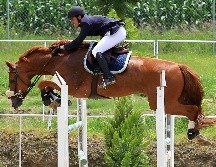 Arranca el Circuito Jalisco con promesas de emocionantes eventos para los amantes de la equitación. EL INFORMADOR/ARCHIVO