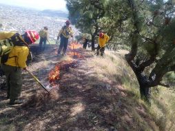 Con este incendio, suman al menos nueve los registrados en el Bosque La Primavera. ESPECIAL/Gobierno de Jalisco