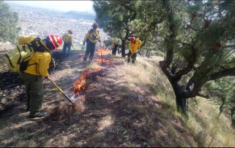 Con este incendio, suman al menos nueve los registrados en el Bosque La Primavera. ESPECIAL/Gobierno de Jalisco