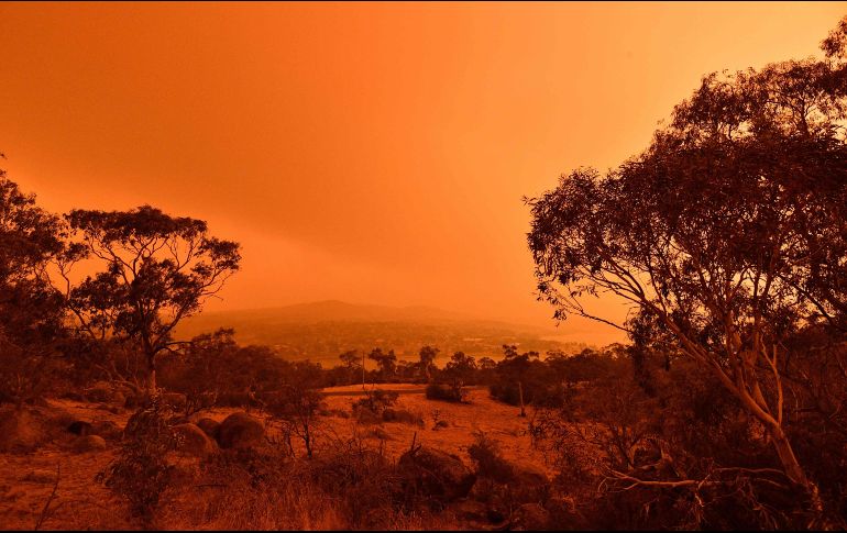 En promedio, menos del dos por ciento de los bosques de ese país son destruidos por los incendios cada año; esta vez se afectó al 20 por ciento. AFP / ARCHIVO