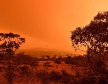En promedio, menos del dos por ciento de los bosques de ese país son destruidos por los incendios cada año; esta vez se afectó al 20 por ciento. AFP / ARCHIVO