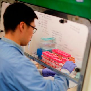 Farmacéutica somete a pruebas vacuna experimental del coronavirus