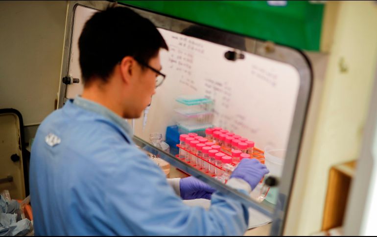 Laboratorios en varios países trabajan en analizar el coronavirus para poder combatirlo. AFP/ARCHIVO