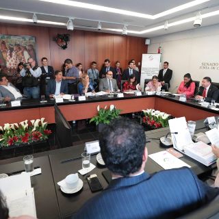 Otra vez, senadores retrasan dictamen sobre regulación de cannabis