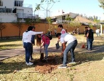 Mantenimiento urbano, trabajos de parques y jardines, alumbrado público y aseo público, son parte de las acciones del programa #100ParquesGDL. TWITTER / @DelToroIsmael