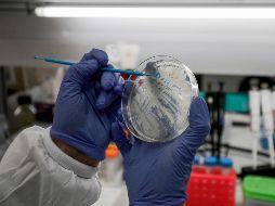 Autoridades aseguran que a ocho semanas del inicio de la epidemia, se tiene mucha información científica y técnica de cómo se comporta el coronavirus. AFP / J. Marey