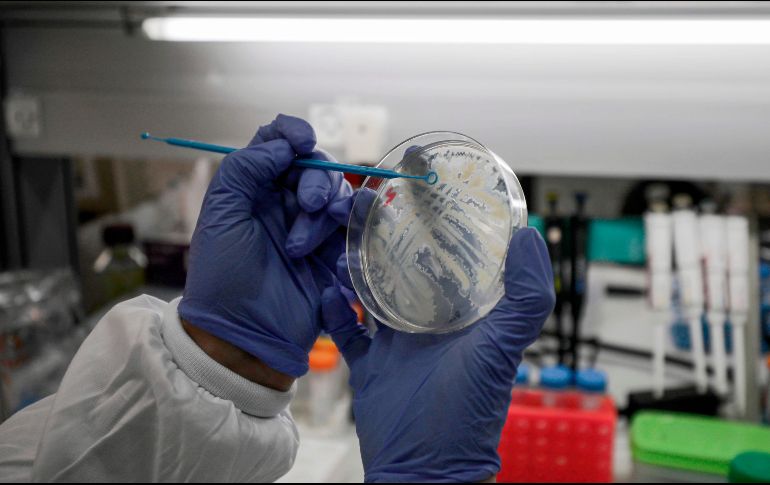 Autoridades aseguran que a ocho semanas del inicio de la epidemia, se tiene mucha información científica y técnica de cómo se comporta el coronavirus. AFP / J. Marey