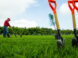 El monto que se cubrirá por el pago a los 39 mil sembradores será de dos mil 101 millones de pesos, informó la titular de la Secretaría de Bienestar. EL INFORMADOR / ARCHIVO