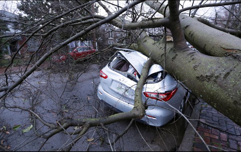 Un árbol impacta a un auto estacionado en la calle luego del paso del tornado en Nashville, Tennessee. AP / M. Humphrey