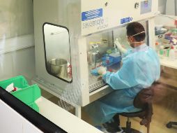 Investigadores de la UNAM lograron secuenciar el genoma del primer caso de coronavirus en México; se podrá saber cómo afecta el virus con la genética de la población. EFE / D. Crosling