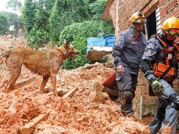 Vista de los daños causados en la ciudad de Guaruja; detallan que más de cinco mil personas abandonaron sus hogares. EFE/F. Luz