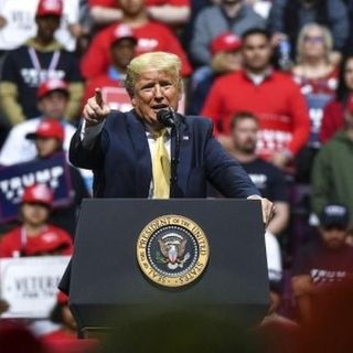 Primarias en Estados Unidos: qué está pasando en las elecciones del Partido Republicano (y qué candidatos se atreven a disputarle la nominación a Trump)