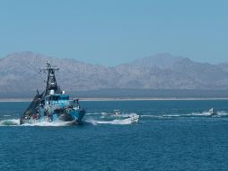 Unos 20 barcos lanzaron un ataque organizado a la tripulación que trataba de impedir la instalación de redes en el refugio de la vaquita marina. EFE/Sea Shepherd Conservation Society
